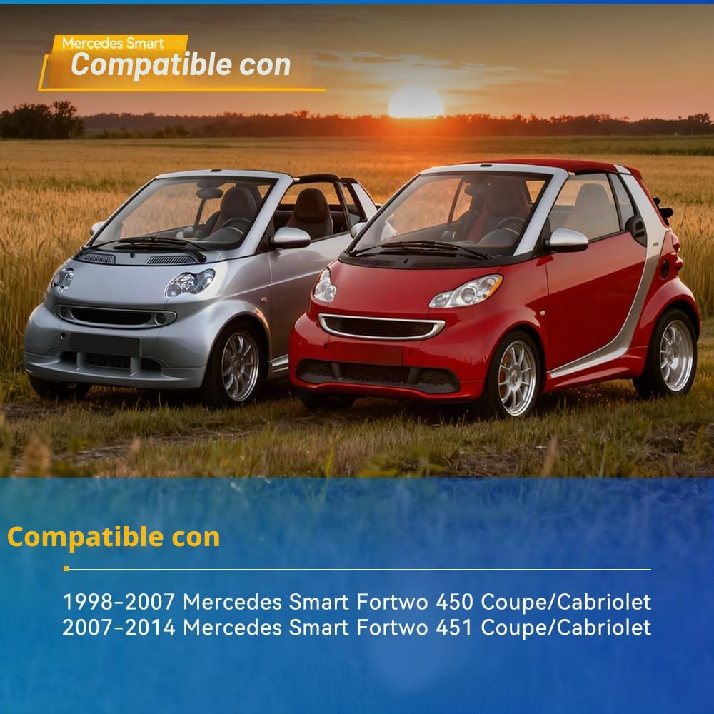 2 luces LED para matrícula compatibles con Mercedes Smart Fortwo 451 2007-2014 Smart Fortwo 450 1998-2007 luces LED para matrícula de coche