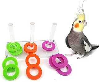 Parrot Parakeet Cockatiels Conure Macaw African Greys Cockatoo Amazon Eclectus Budgies Cage for Bird Intelligence Development Training Toys