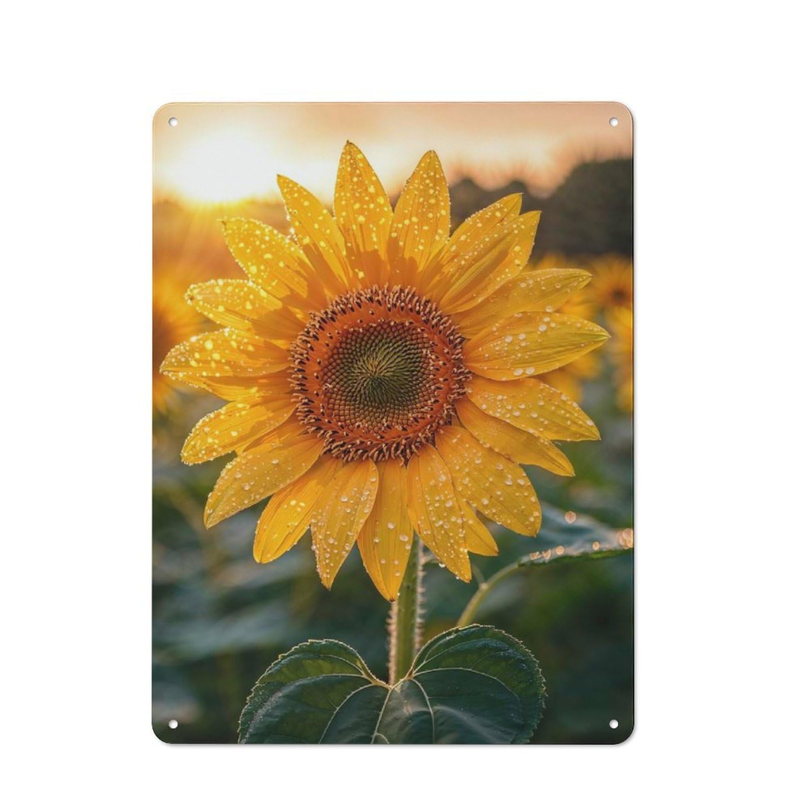 Dewy Sunflower at Sunset Rustic Metal Plaque 40x30cm for Living Room Or Hallway, for Garage, Workshop And Man Cave Decoration
