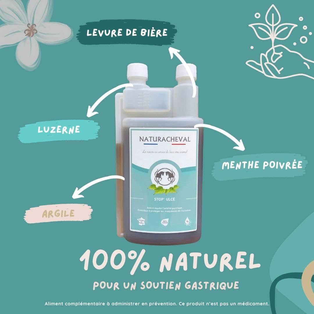 Ulcère Cheval & estomac – Complément Naturel Anti acidité gastrique – Protège muqueuses & apaise douleurs – Digestion Sensible – Formule Plantes