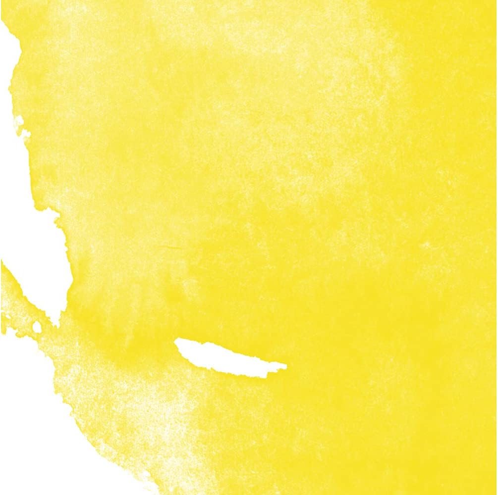 Daler Rowney Aquafine Watercolor Ink Cadmium Yellow 29.5ml - Versatile Liquid Watercolor Ink for Artists and Students - Use with Paint Brushes, Technical Pens, Airbrushes, and Paint Markers