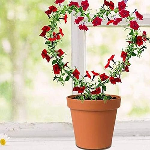 Miniatura 8 de Soporte para plantas, 2 piezas de enrejado de jardín de hierro negro para plantas trepadoras, plantas de vid, soporte de metal de alambre en forma