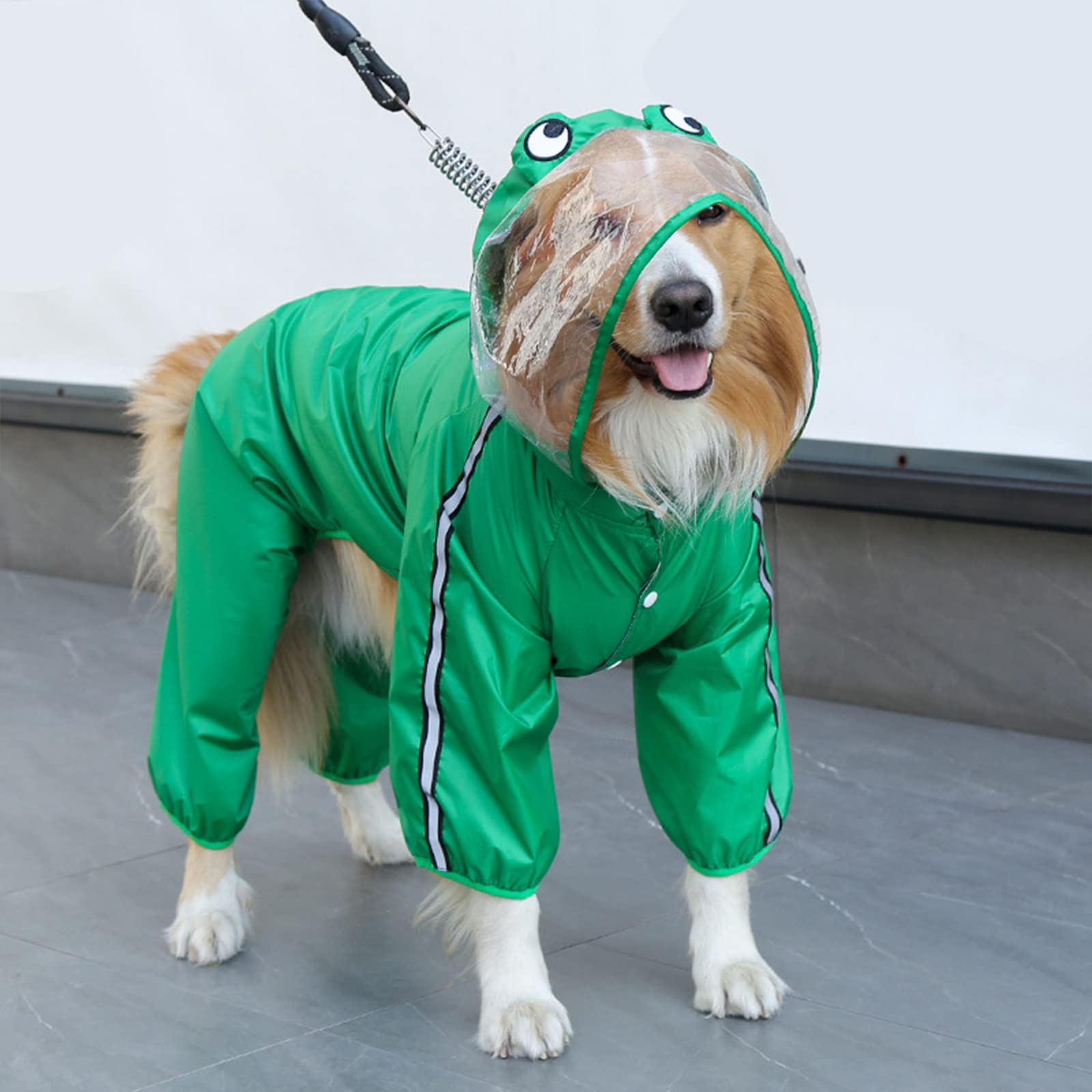 HMJGDHX Chubasquero para Perros, Poncho Transparente con Capucha, Transpirable para Perros pequeños, medianos y Grandes, Impermeable, Reflectante, Dinosaurio/Rana, Lindo Modelado
