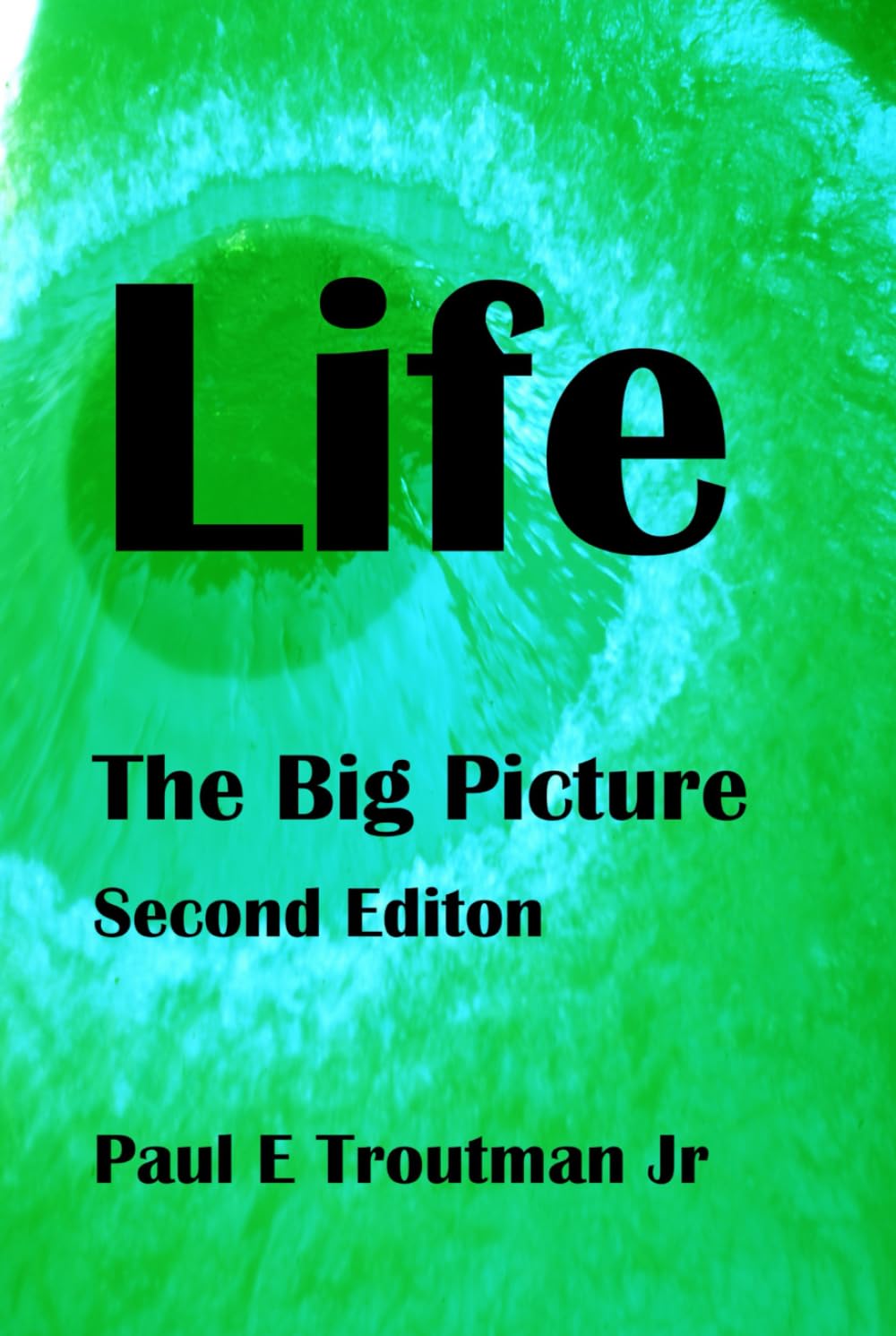 Life: The Big Picture