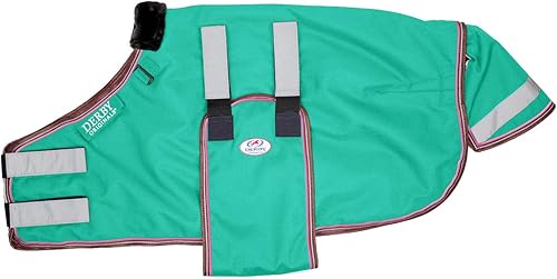 Miniatura 8 de Derby Originals Manta reflectante de seguridad sin hardware para invierno para potros y mini caballos 1200D impermeable Ripstop peso medio 5.29 oz