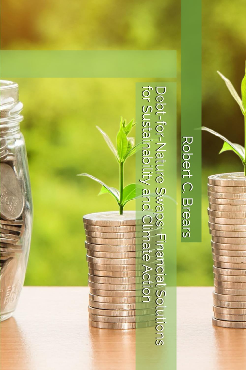 Debt-for-Nature Swaps: Financial Solutions for Sustainability and Climate Action
