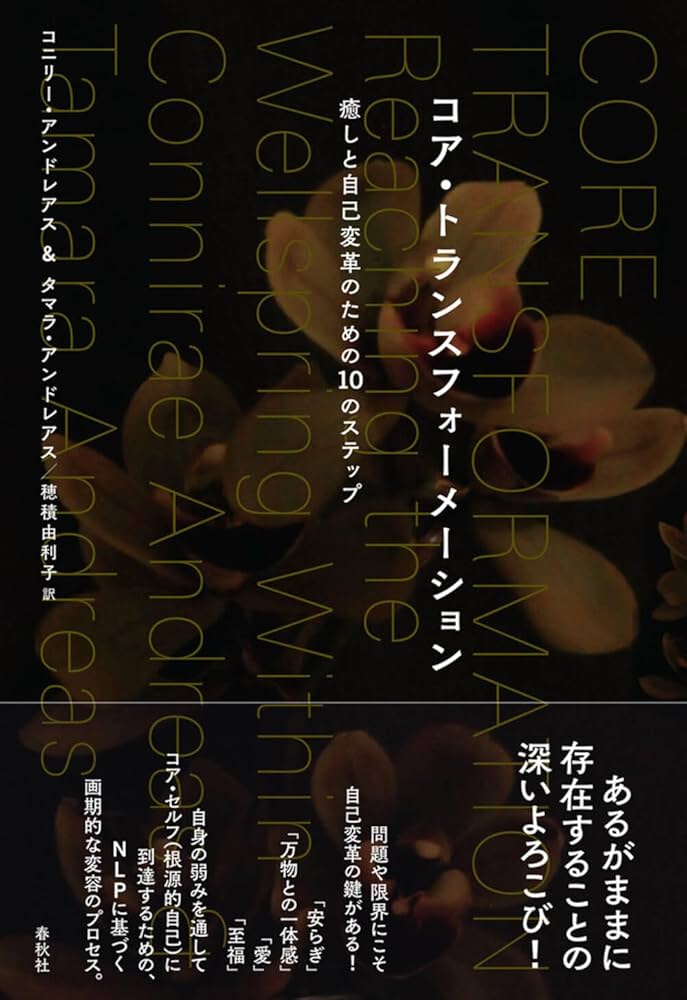 NLPコア・トランスフォーメーションDVD 9枚セット Amazon.co.jp: コア・トランスフォーメーション 癒しと自己変革