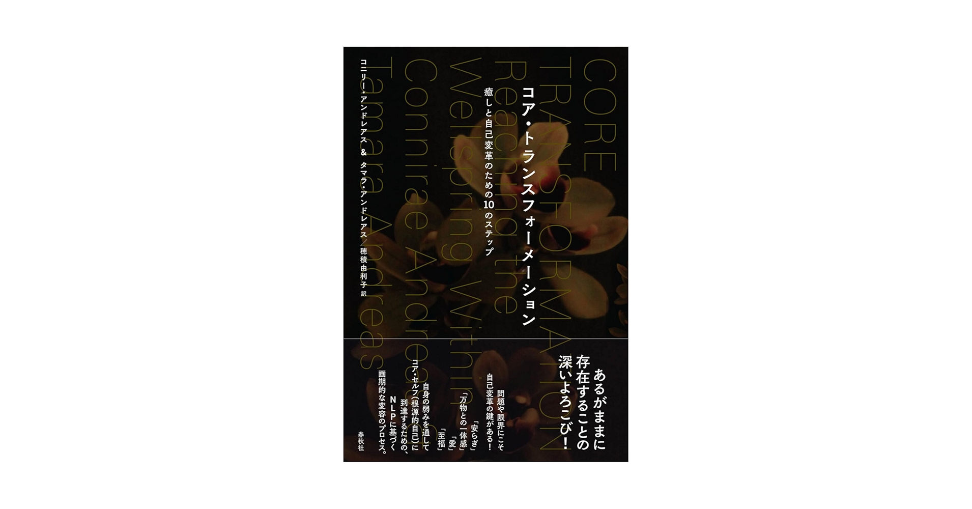 ⭐︎NLP コアトランスフォーメーション ベーシックトレーニング DVD ⭐︎NLP コアトランスフォーメーション ベーシックトレーニング