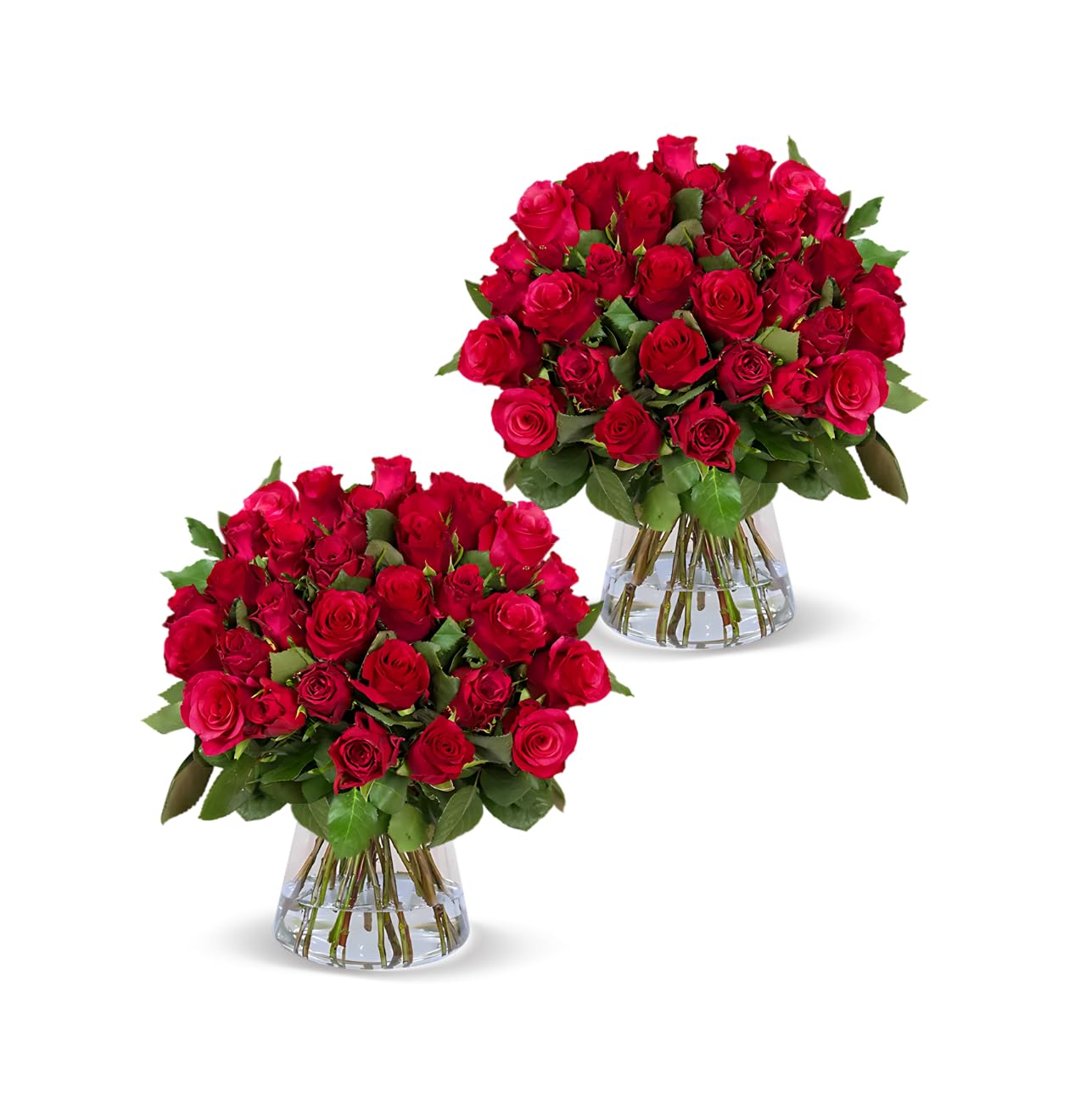 Blume Ideal Rosenstrauß - Rosen in verschiedenen Farben und Mengen - Ø 40–50 cm - Echte premium Blumen für Hochzeit & Deko - 7 Tage Frischegarantie