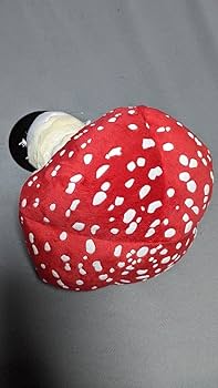 Amazon.co.jp: 毒展 ベニテングタケ ぬいぐるみ 毒キノコ きのこ 茸