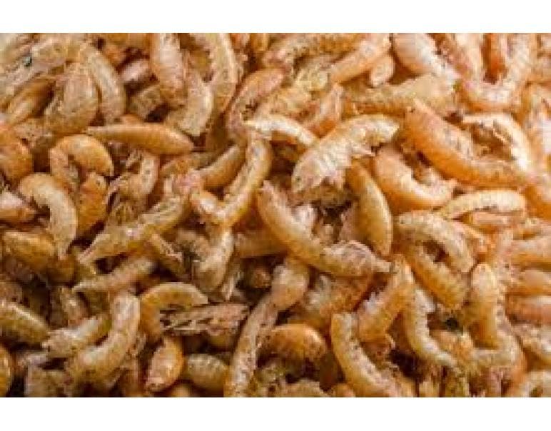 FAMILY MASCOTAS GAMMARUS - GAMBAS ALIMENTO Natural para Tortugas Bolsa 3000gr