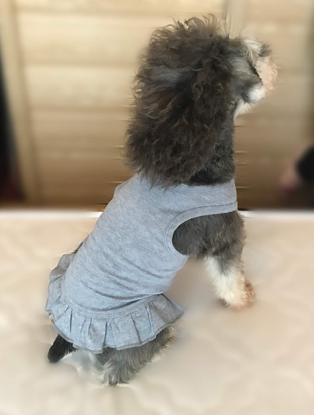 Pet Clothes Small Dog Clothing Blank Color Sport Dress T-Shirts Tee Dresses Tanks Top for Small Size Female Dogs Summer Spring Pet Costumes 100% Cotton (M, Gray)