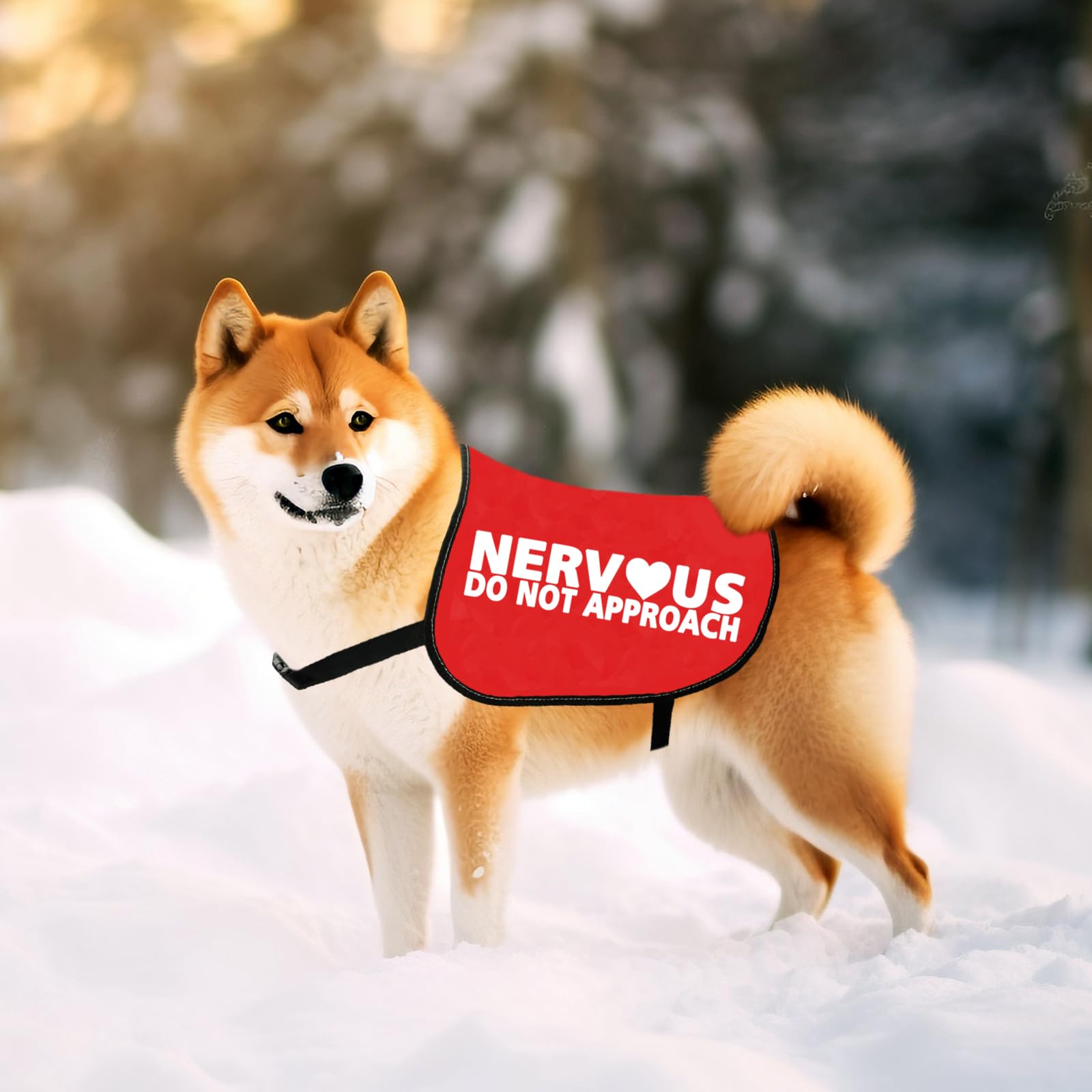 JXGZSO Hundeweste Nervous Do Not Approach Hundejacke Weste Hund Gassi Gehen Slogan Warnweste (Nervous Approach L, M, L)