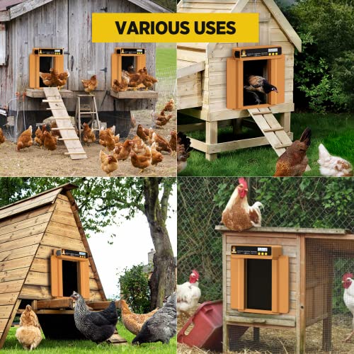 Automatic Chicken Coop Door Opener with Timer, Programmable Light Sensor, Battery Powered LCD Screen, Weatherproof, Low Battery Indication (Orange)