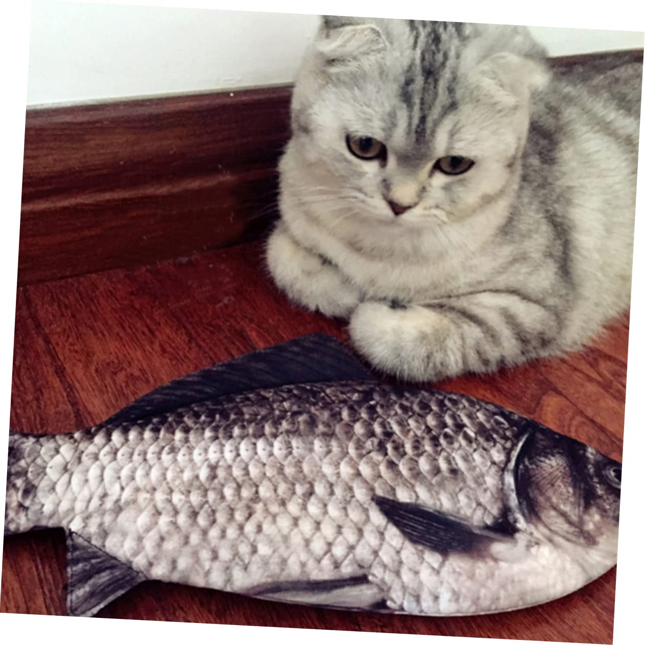Veemoon 4 Ensembles Trousse À Crayons Forme De Poisson Sac À Stylo Et Pratique pour Chats Et Étui À Crayons À Capacité Et Poisson pour Chats pour Scolaires Et Amateurs Animaux 2 Pièces * 4