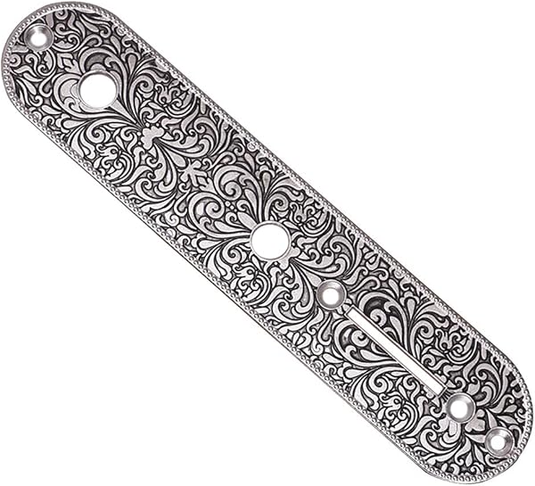 Amazon _ B Baosity ベースギター用1ピース亜鉛合金コントロールプレートコントロールプレート, 銀 _ エレキギターフレット _ 楽器・音響機器