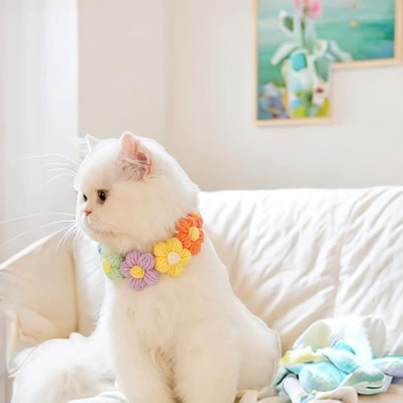 【ももねこさん】Harmonia チョーカー フローティングクリスタル新品未使用 Amazon | WeiLaiKeQi 猫チョーカーネックレスペット首輪手作り