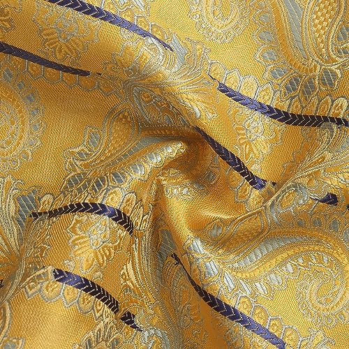 Image of Paisley Floral Mens Tie Formal Necktie Pocket Squares Ties Clips Cufflinks Classic for Men Set