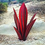 【Sieht aus, als würde sie aus dem Boden heraus wachsen.】 Diese Tequila-Pflanze wird jeden Raum aufhellen, in dem Sie sie platzieren. Diese spezielle Agave hat keine Basis, um sie so aussehen zu lassen, als würde sie aus dem Boden heraus wachsen.