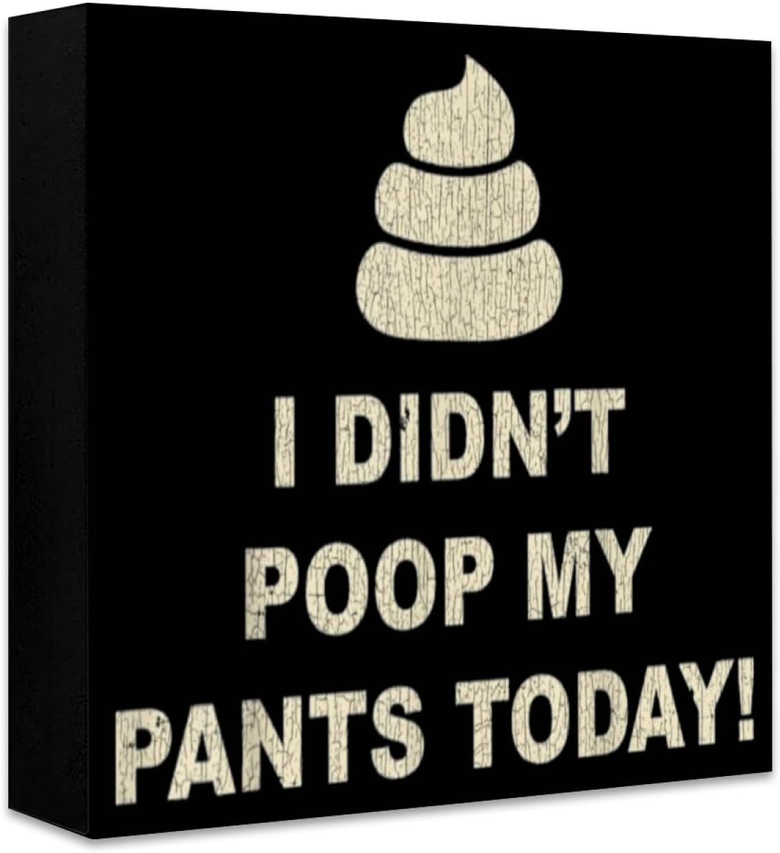 Be Nice to Me I Probably Almost Shit My Pants Today Funny Craft Funny Decorative Items, Unique Ornaments for Table Decor & Gifting