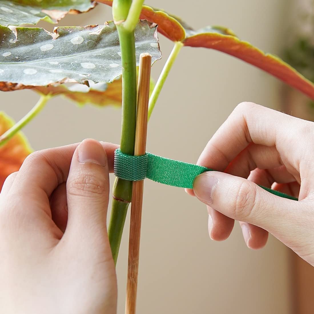 GARDENBASICS Plant Ties; Reusable, Adjustable, Gentle Plants Supports for Effective Growing; Multi-Use Support Tie Tape for Gardening, Wire Organizer, Cable Management (1 MTR x 12 MM - 5 Roll) Green