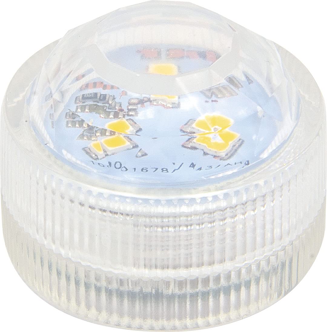 folia 983 - dekoracyjne światło LED, 10 sztuk, ciepłe białe światło, idealne jako zamiennik świeczek typu tealight, do latarni, lampionów