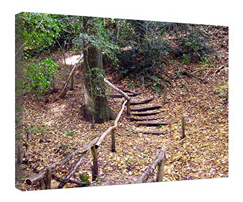 Impressions sur toile murale 40x50 cm avec cadre en bois prêt à poser