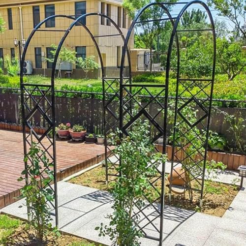 Arche de jardin en métal haut de gamme comme cadre de support durable