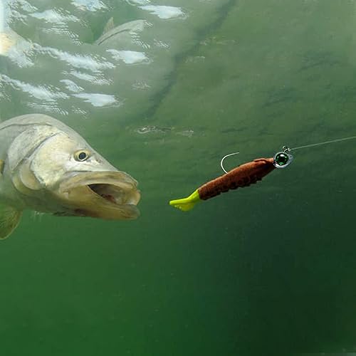 Miniatura 8 de Dr.Fish Paquete de 10 plantillas de ojos de pesca, ojos 3D, cabezas de trucha, anzuelo, cebo vivo, cabezas de plástico para agua salada, 12 oz, 38