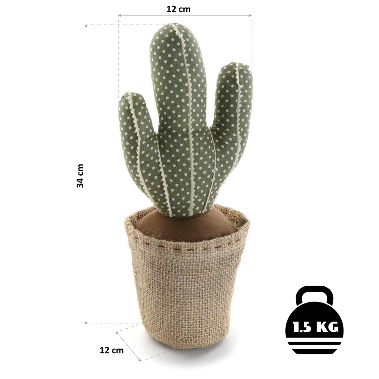 mammillaria cristata Mammillaria elongata 'Cristata' 4"