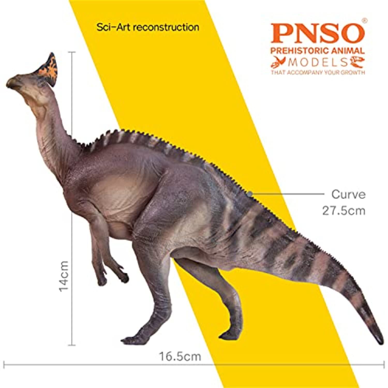 Amazon | PNSO 成長シリーズ オロロティタン ハドロサウルス類