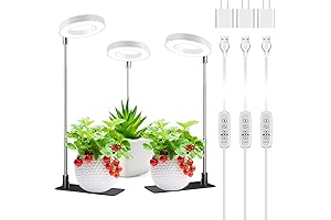 Grow Lights for Indoor Plants, Halo Design