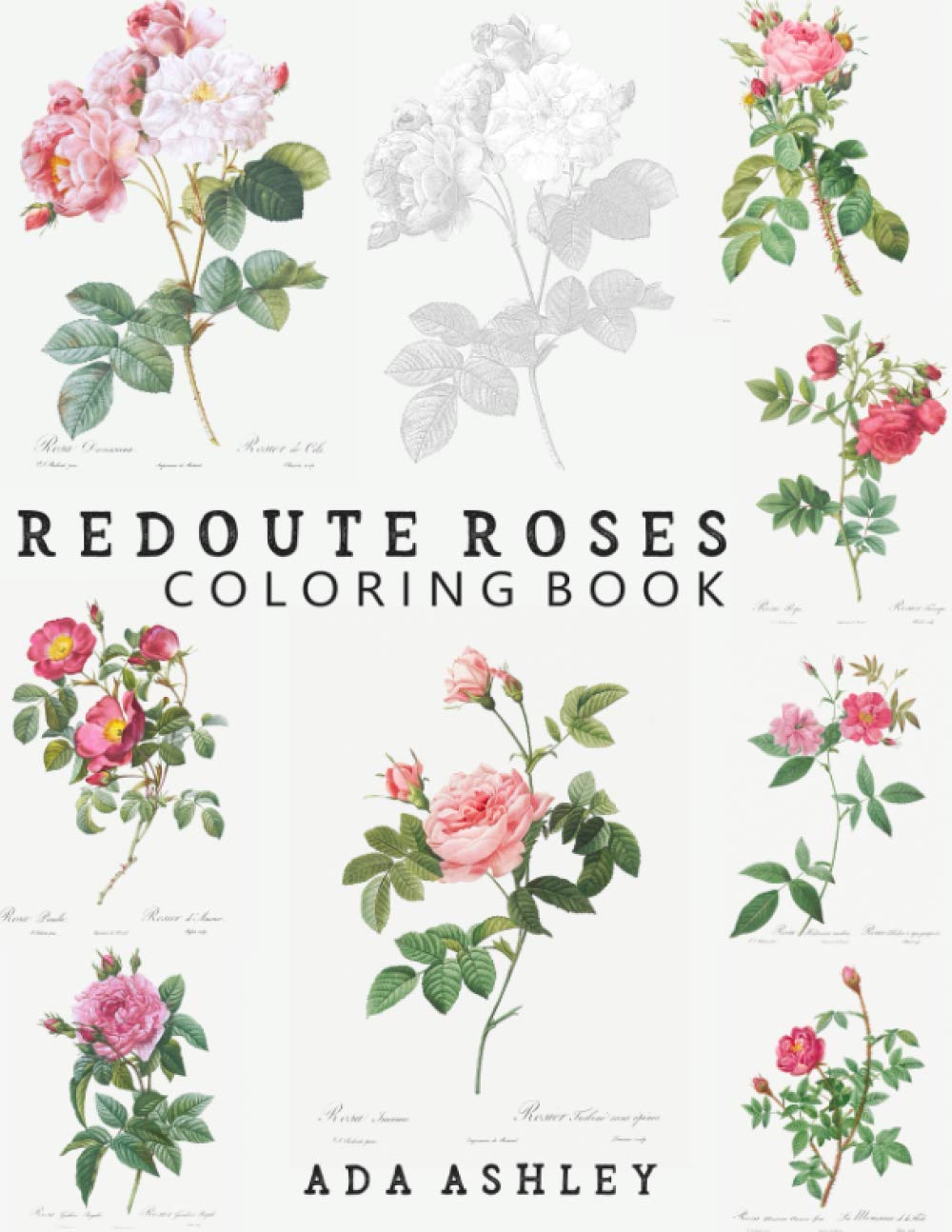 Redoute Roses Coloring Book: Realistic rose coloring book for adults with beautiful vintage Redoute flowers in grayscale