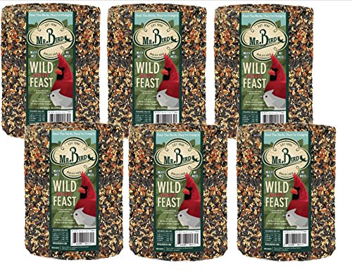 Image of Mr. Bird Wild Bird Feast Birdseed Cylinder - 6 Diameter