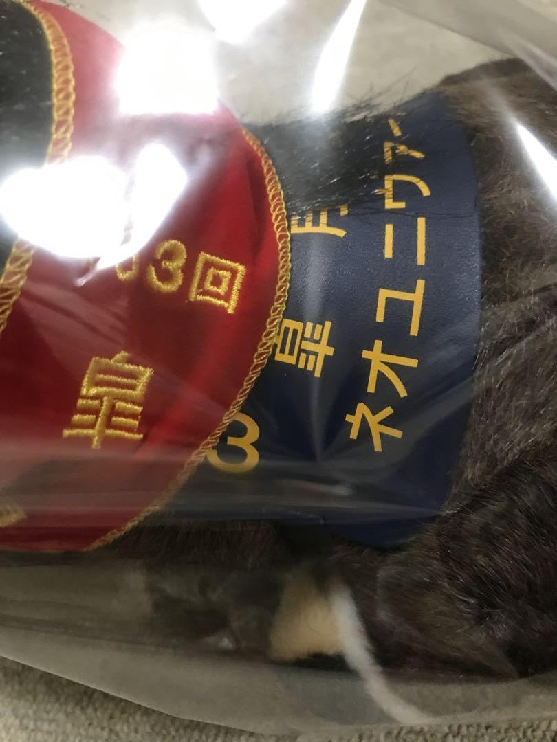 Amazon.co.jp: 競馬 競走馬ぬいぐるみ ネオユニヴァース 皐月賞