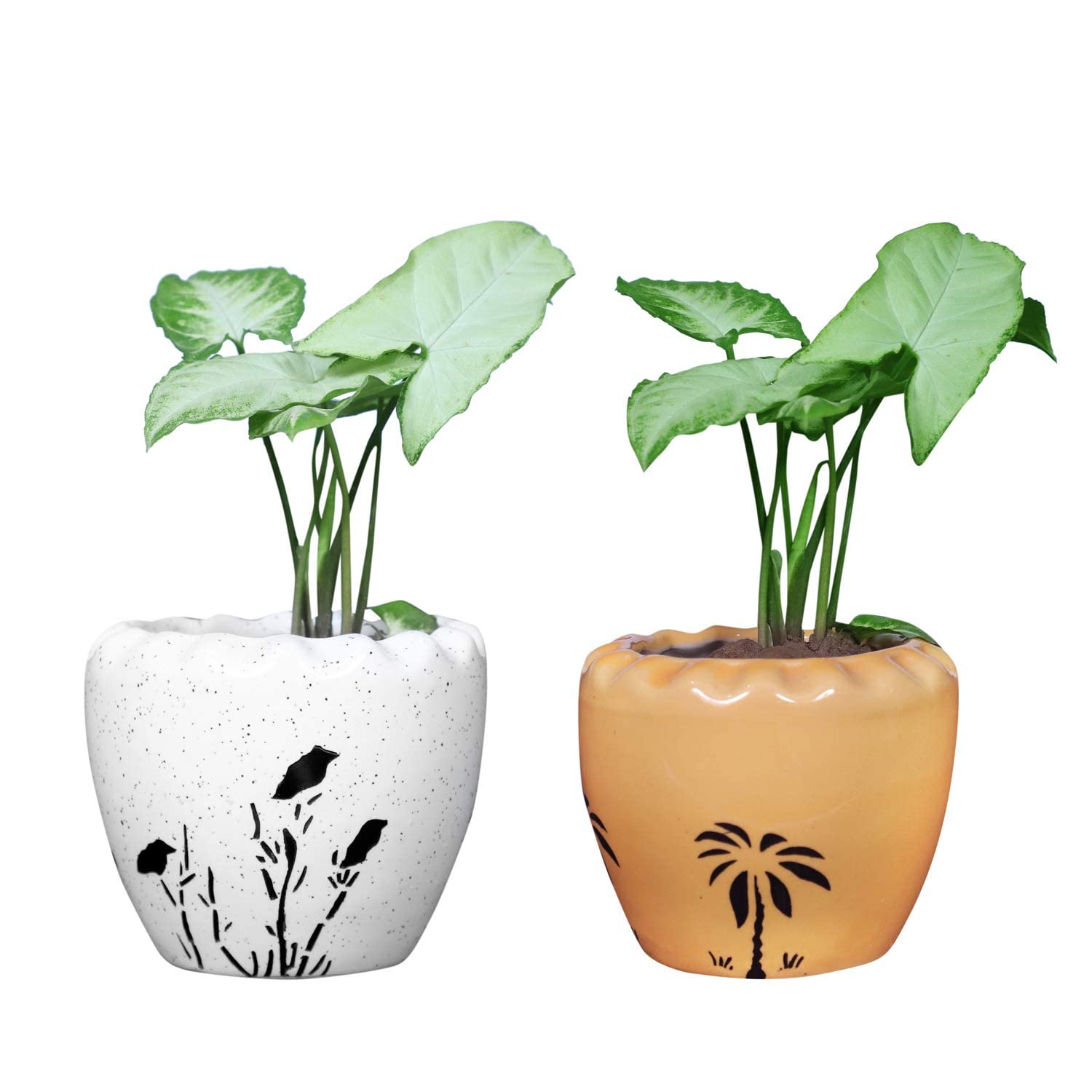SHRIYAM CRAFTS Ceramic Planter Set for Home, Planters for Indoor Planter Pot Round Shape (Multicolor Pack of 2) (B0B8W3W2CQ) Amazon Price History, Amazon Price Tracker