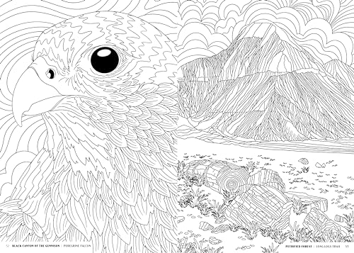 The National Parks: A Coloring Book - Image 4
