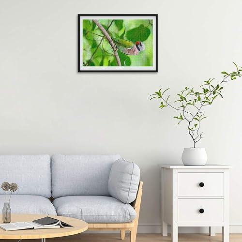 Miniatura 6 de Rompecabezas de 500 piezas para adultos y machos, periquitos de pecho rojo, loro difícil, rompecabezas de artista desafiante, actividad familiar,