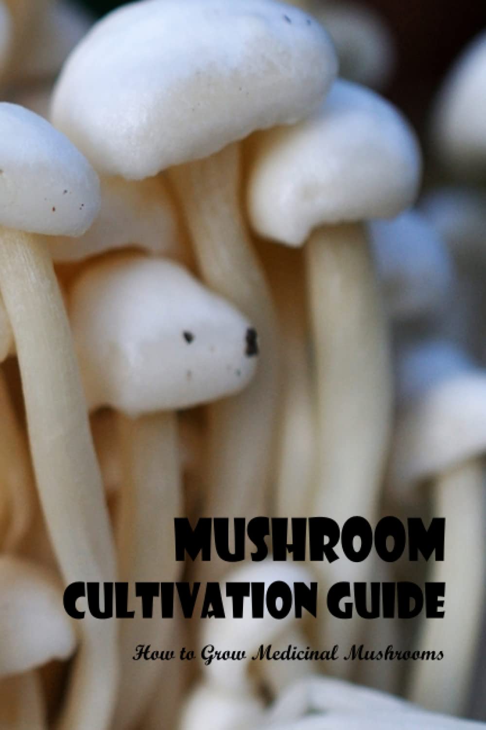 Buy Mushroom Cultivation Guide How to Grow Medicinal Mushrooms