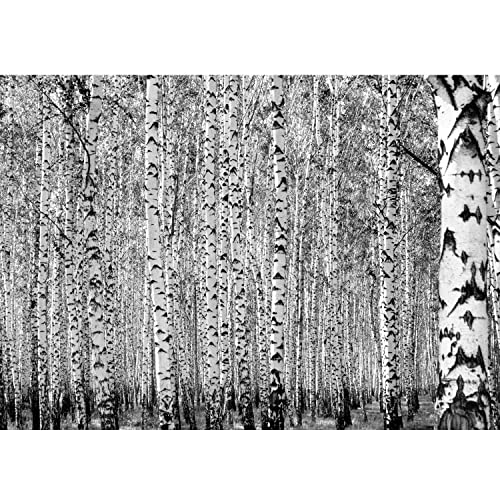 Runa ArtPapel tapiz fotográfico bosque de abedules 352 x 250 cm Lana Fondo De Pantalla XXL Moderna Decoración De Pared Sala Cuarto Oficina Salón Negro y blanco 9477011c