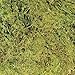 Zoo Med Frog Moss, 80 Cubic-Inches