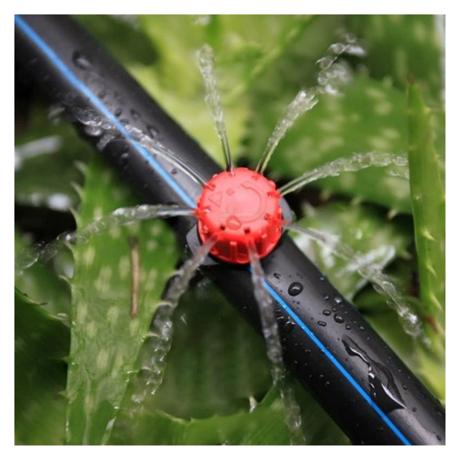Innaffiare le piante in vaso Annaffiare i tappi di bottiglia Spilli 200 pz 8-foro Gripper regolabile Dripper micro goccia irrigazione irrigazione irrigazione antigoccia antigoccia gripper giardino tub