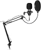 Lastvoice BM800BT Black Condenser Microphone Stand Filter Sound Card