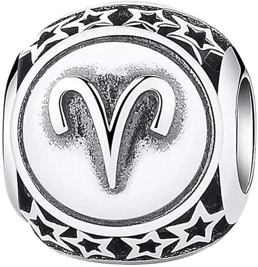 Zodiac Sign Charm 925 Sterling Silver 12 Horoscope Constellation Charm Hollow Star Charm for Bracelet & Necklace