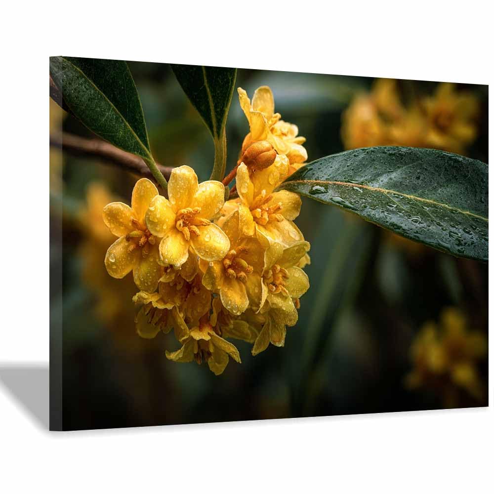 ZAMAEIU Landscape Wall Art Clusters of osmanthus dew Artwork for Walls, Canvas Prints Paintings Room Decor, for Bedroom Kitchen Office Fireplace Wall Decor(yellow)-60x90cm Framed