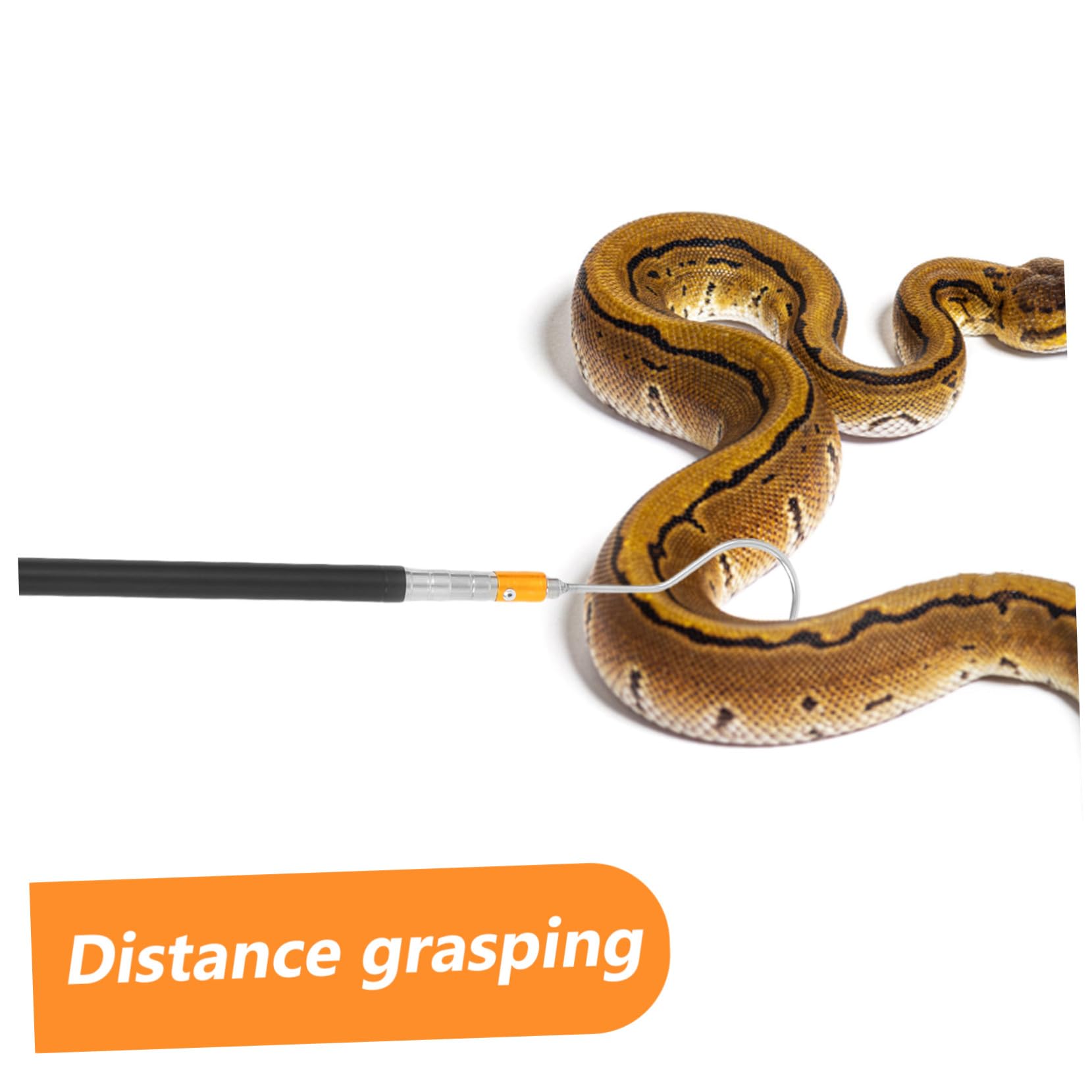 Homoyoyo Attrape-Serpents Crochet Télescopique Outil de Capture Perche Multi Fonctionnelle Ajustable Manipulation Reptiles