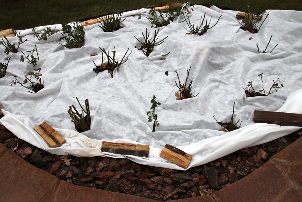 Aquagart Tessuto non tessuto per erbacce bianco, 150 g, protezione dalle erbacce e dalle erbacce, pellicola protettiva per giardino e stagno, 1,5 m di larghezza (187,5 m²)