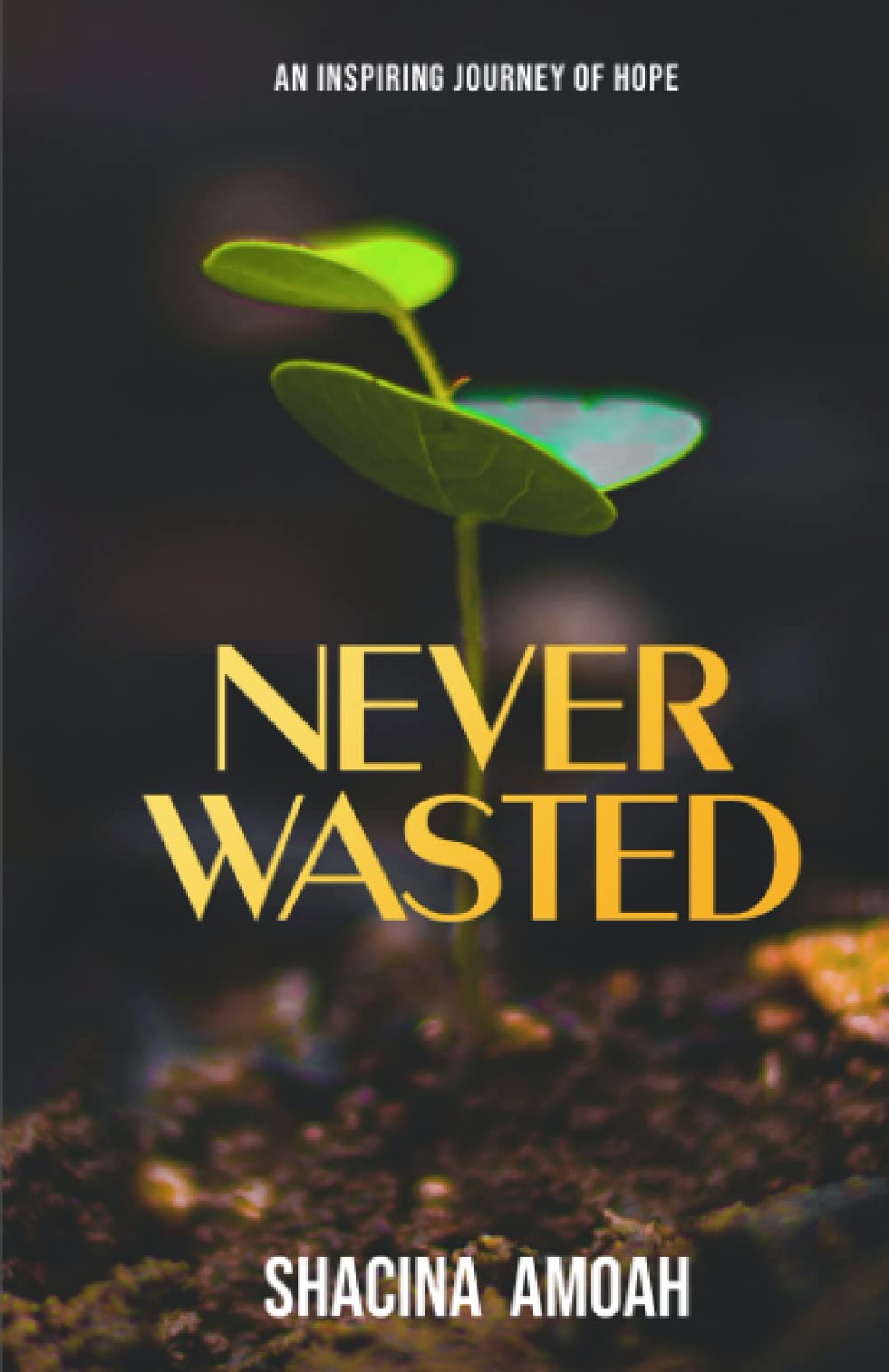 NEVER WASTED: AN INSPIRING JOURNEY OF HOPE