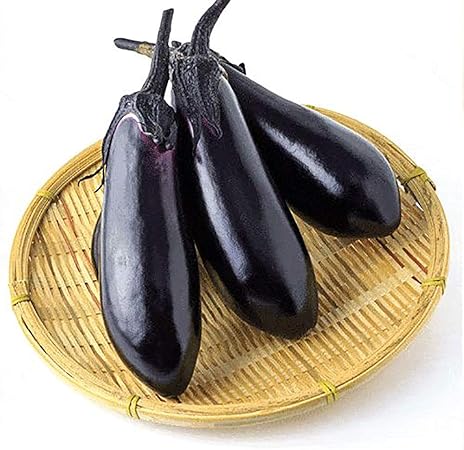 Amazon Co Jp ナス苗 とげなし千両二号なす 接木苗 野菜苗 9cmポット接ぎ木苗 4個セット Diy 工具 ガーデン Amazon Co Jp ナス苗 とげなし千両二号なす 接木苗 野菜苗 9cmポット接ぎ木苗 4個セット Diy 工具 ガーデン