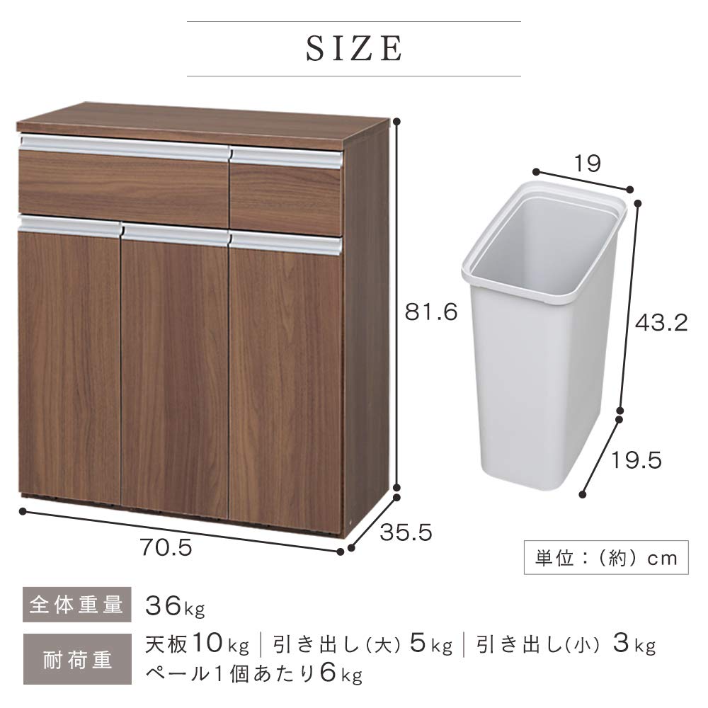 アイリスオーヤマ 45L 3分別 ゴミ箱 PKT-8670